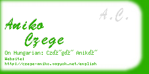 aniko czege business card